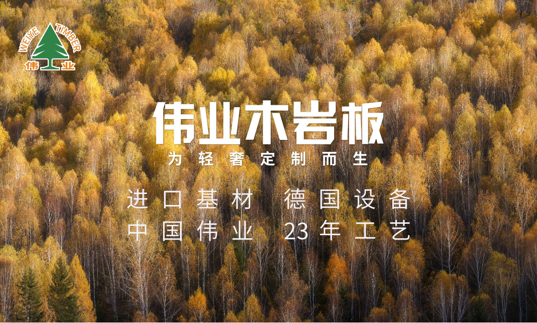 偉業(yè)木巖板，保護(hù)孩子，從懷孕開始